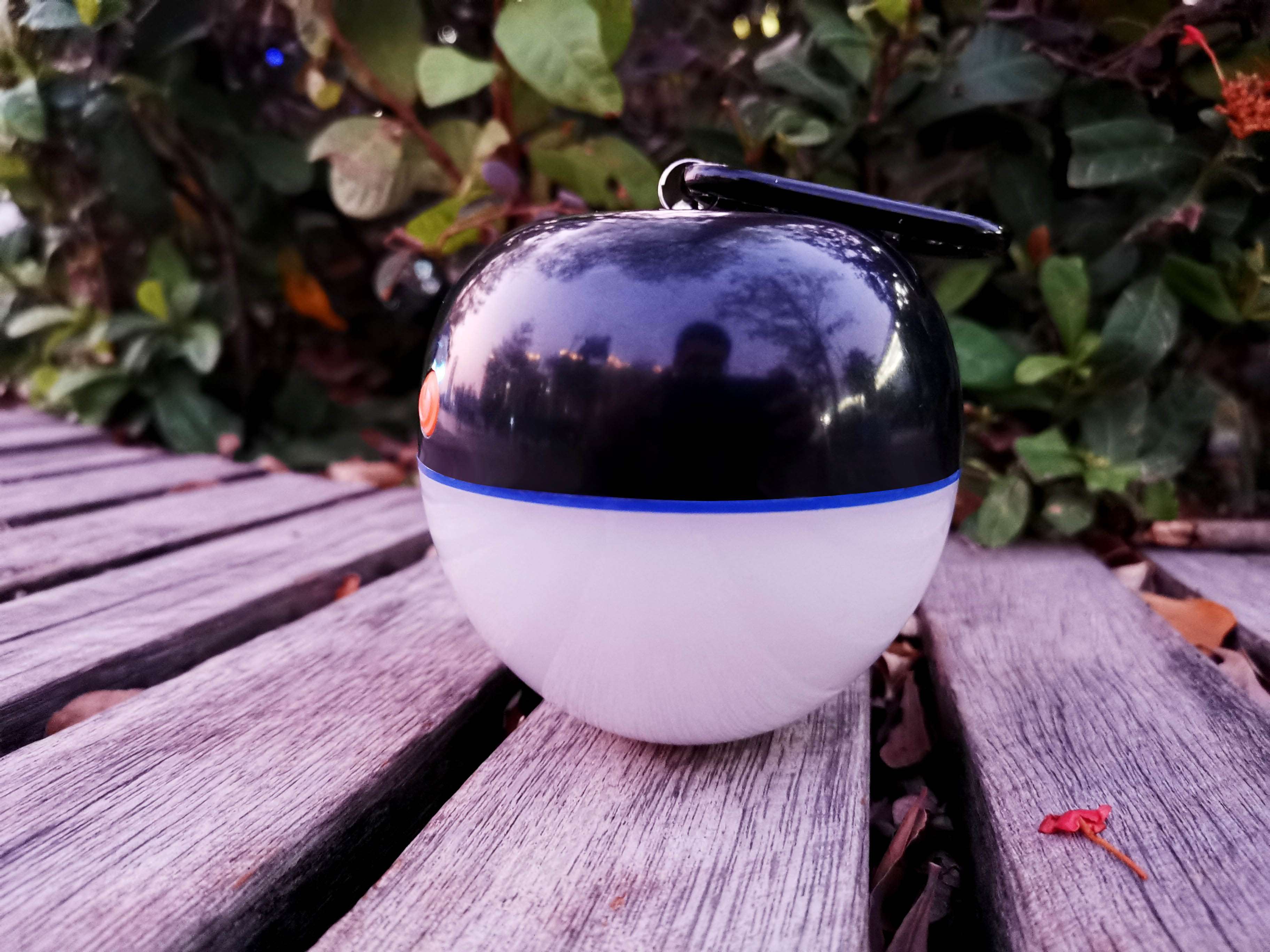 1574912430134144.jpg 1574912430134144.jpg