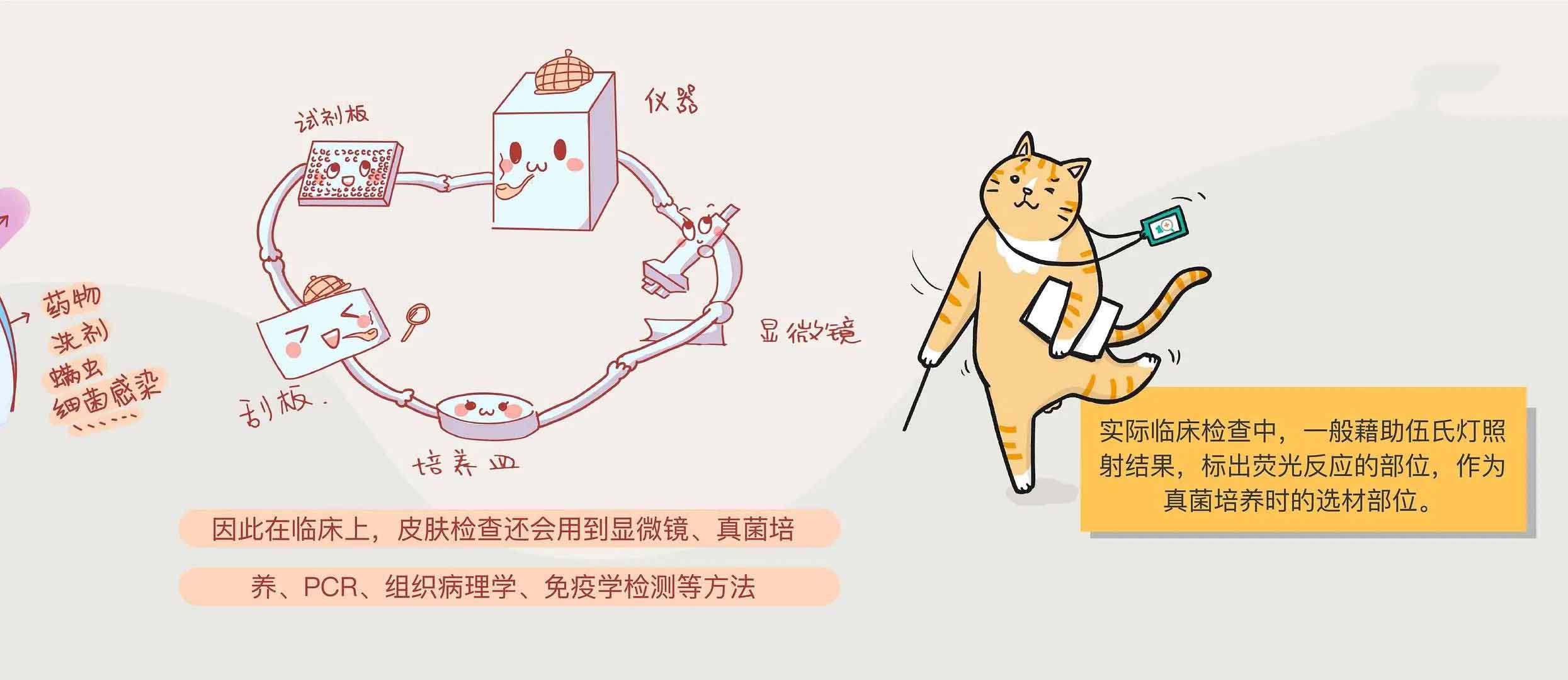 1587981783182701.jpg 1587981783182701.jpg