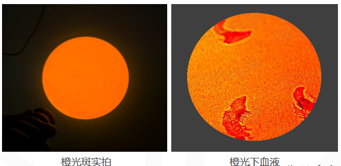 1701328303714033.png image.png