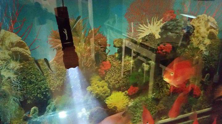 手電PT10，為戰(zhàn)術(shù)而生